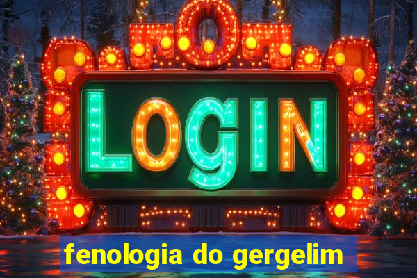 fenologia do gergelim